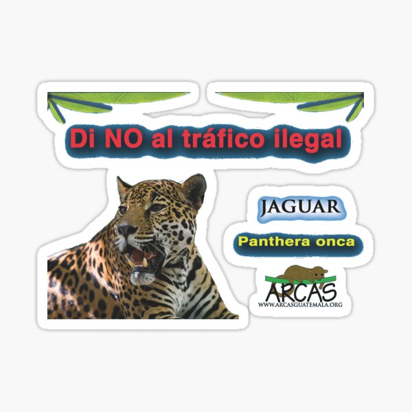 Say no to illegal traffic; jaguar Sticker