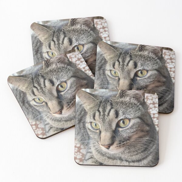 Item preview, Charming Cat  designed and sold by Amanda1775.