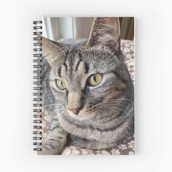 Item preview, Charming Cat  designed and sold by Amanda1775.