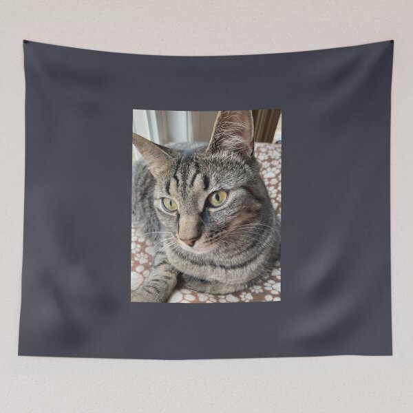 Item preview, Charming Cat  designed and sold by Amanda1775.