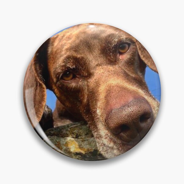 Item preview, Luna the lunatic gsp designed and sold by Alan Mackinnon.