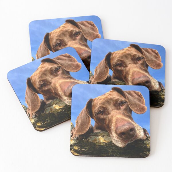 Item preview, Luna the lunatic gsp designed and sold by Alan Mackinnon.