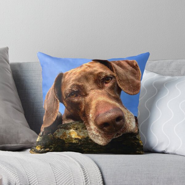 Item preview, Luna the lunatic gsp designed and sold by Alan Mackinnon.