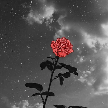 Artwork thumbnail, Rose Of Life by httpswerid