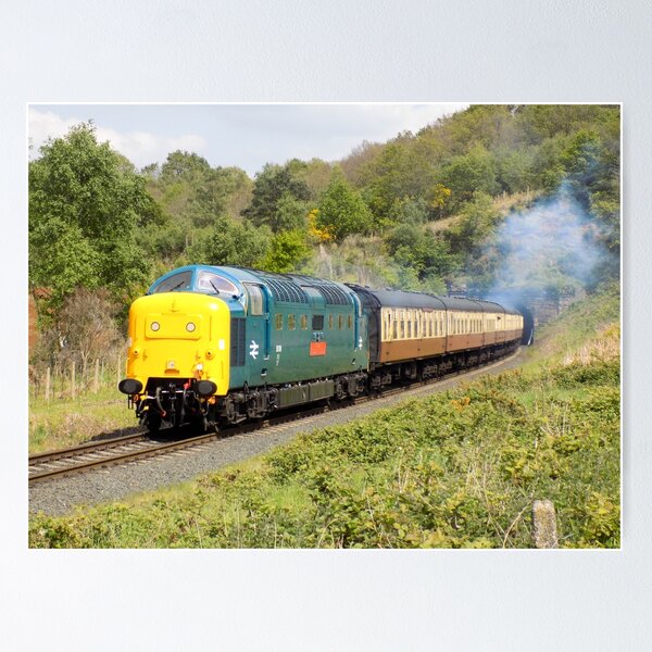 Item preview, British Rail Deltic 55019 designed and sold by Jason Hood.