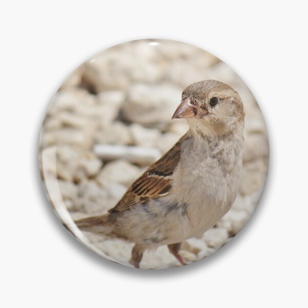 Item preview, Bird designed and sold by Islandjunkie09.