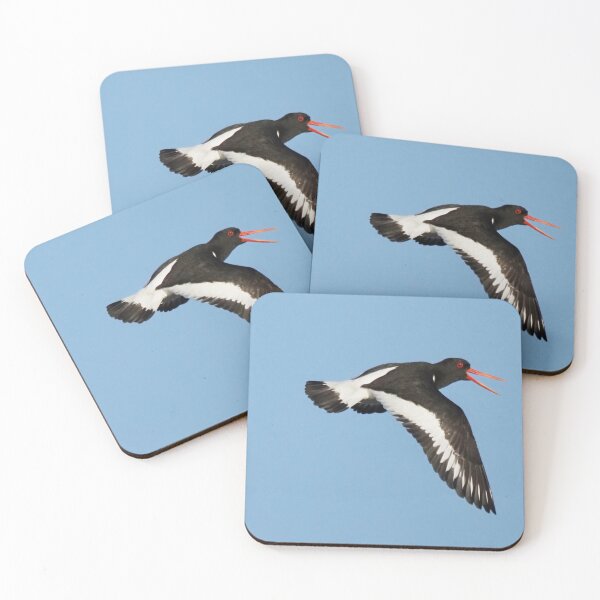 Item preview, An oystercatcher in flight at Cantick Head on Hoy designed and sold by Alan Mackinnon.