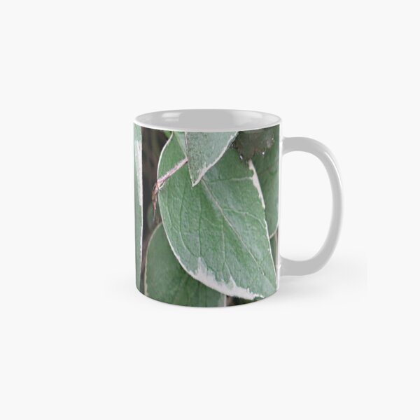 Green vinca view Classic Mug