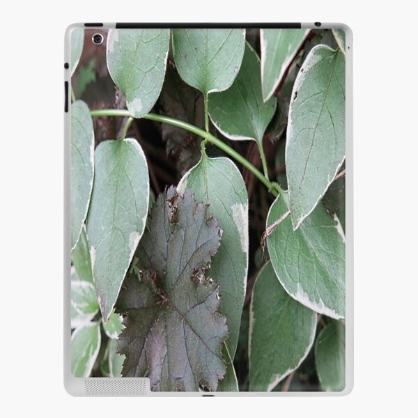 Green vinca view iPad Skin