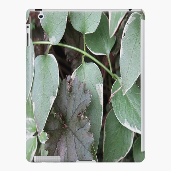 Green vinca view iPad Snap Case
