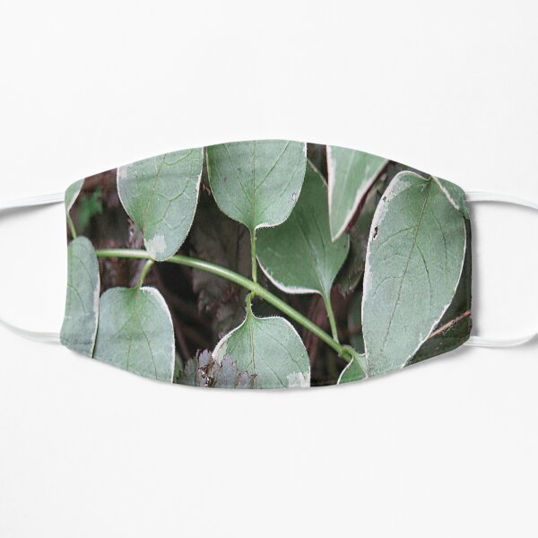 Green vinca view Flat Mask
