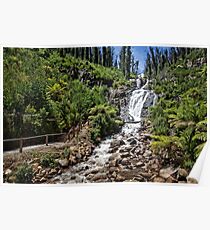 Steavenson Falls Poster