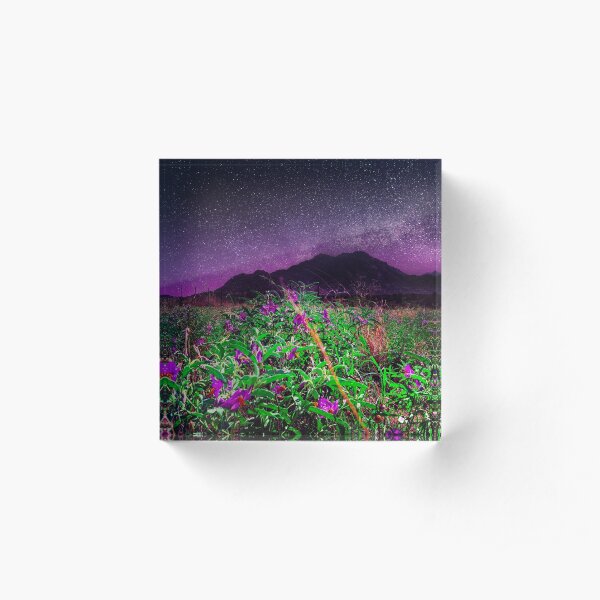 Wildflowers at Granite Mountain Acrylic Block