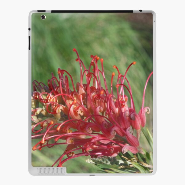 Red Blooms Los Angeles iPad Skin