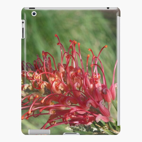 Red Blooms Los Angeles iPad Snap Case