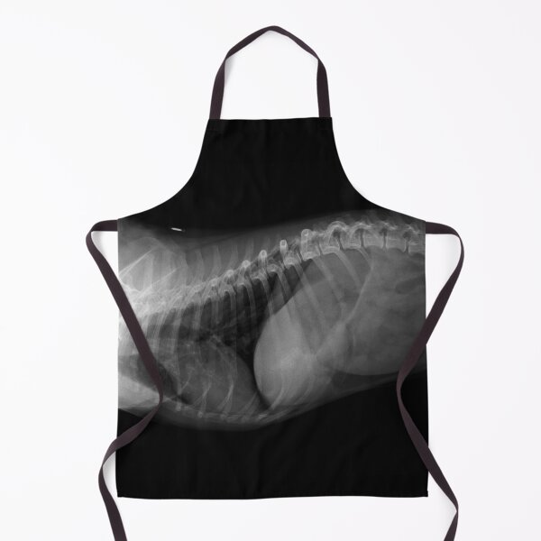 Aperçu de l'œuvre DOg X-Ray créée et vendue par GOATEES75.