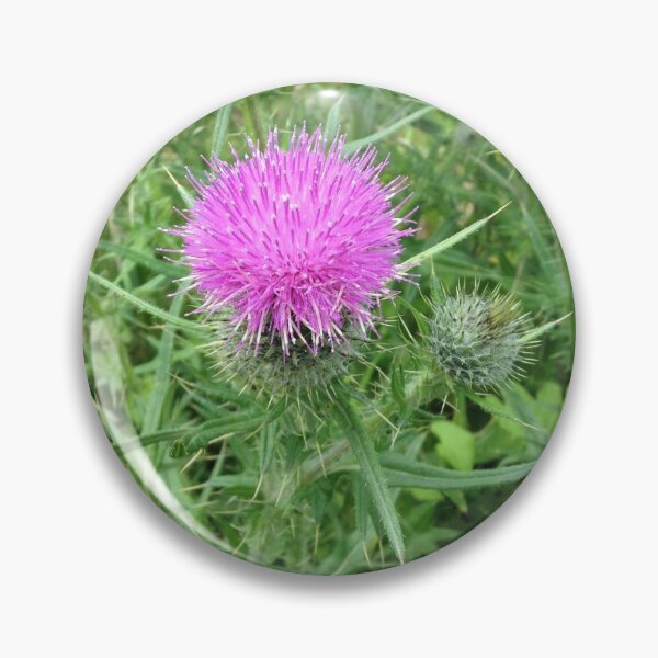 Artikelvorschau, Distel entworfen und verkauft von CananAvsar.