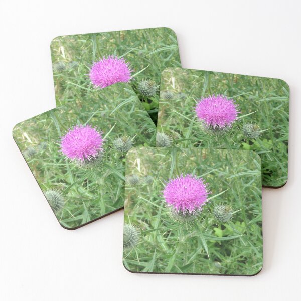 Item preview, Thistle designed and sold by CananAvsar.