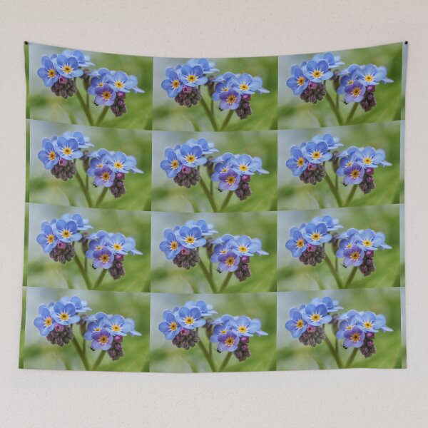 Item preview,  Myosotis. designed and sold by John Ray.