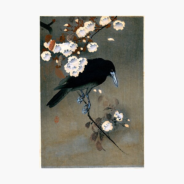 Vintage Japanese Crow and Blossom Woodblock Print Photographic Print