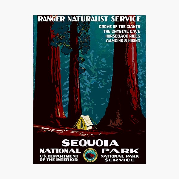 Vintage WPA Camping in Sequoia National Park Photographic Print