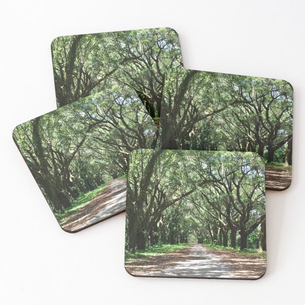 Artikelvorschau, Live Oak Canopy Shaded Path South Carolina entworfen und verkauft von Elizabeth K. King.