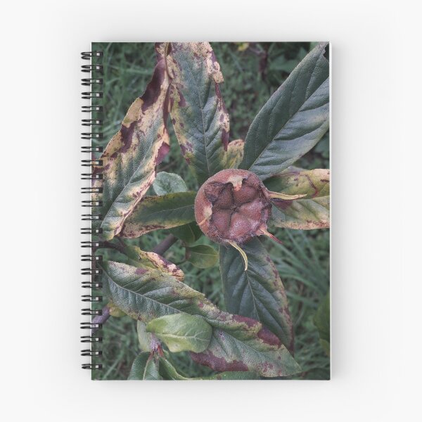 Item preview, Medlar designed and sold by JayAceAro.