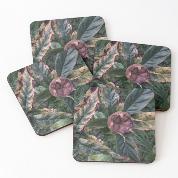 Item preview, Medlar designed and sold by JayAceAro.