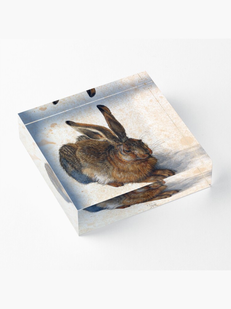 Alternate view of Albrecht Durer Young Hare Acrylic Block