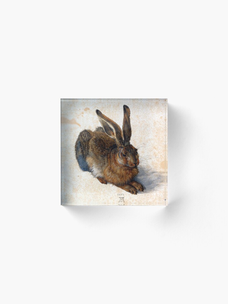 Alternate view of Albrecht Durer Young Hare Acrylic Block