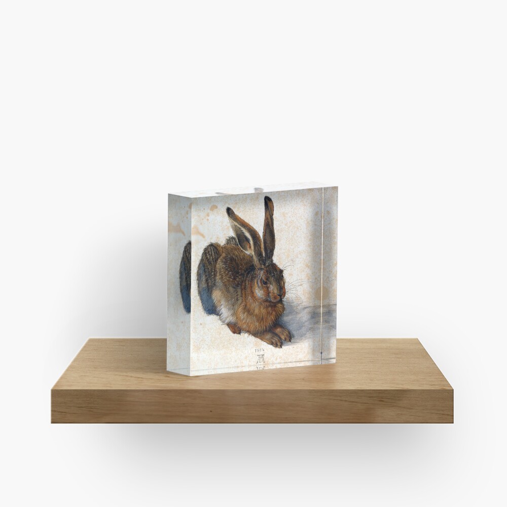 Albrecht Durer Young Hare Acrylic Block