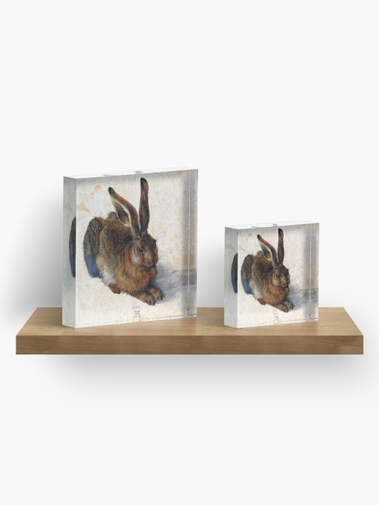 Alternate view of Albrecht Durer Young Hare Acrylic Block