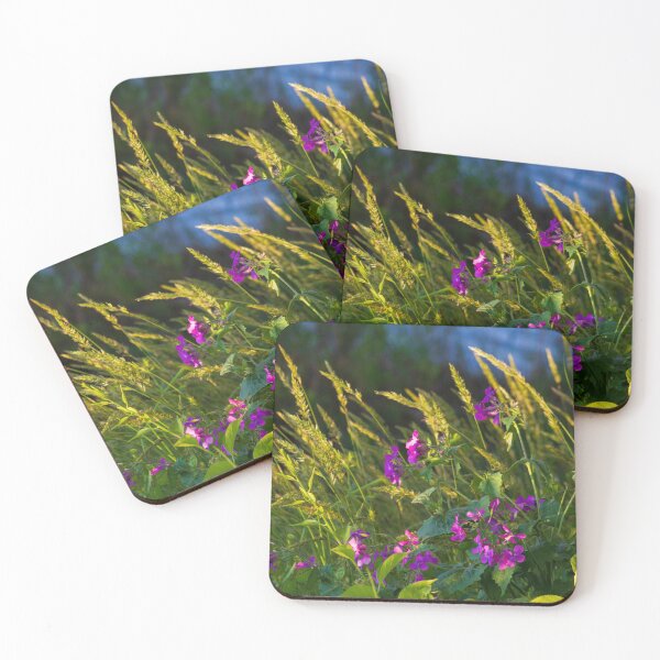 Item preview, Pretty wildflowers in morning sunlight designed and sold by towelday42.