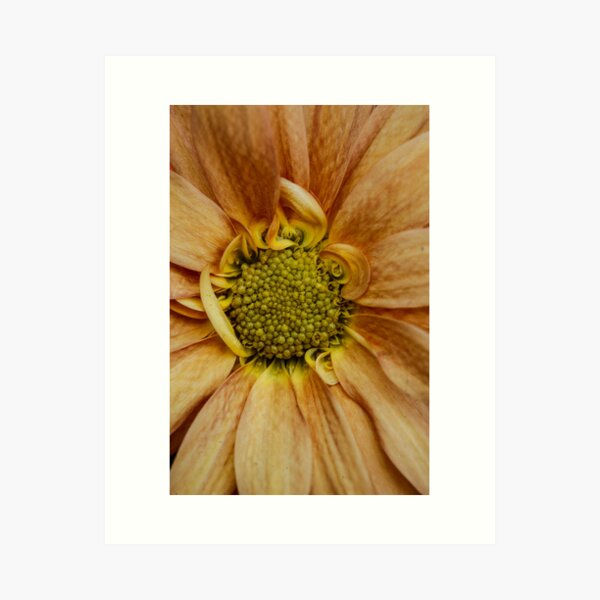 Item preview, LOOk at Meeee.......I am different ! designed and sold by Nina  Matthews Photography.
