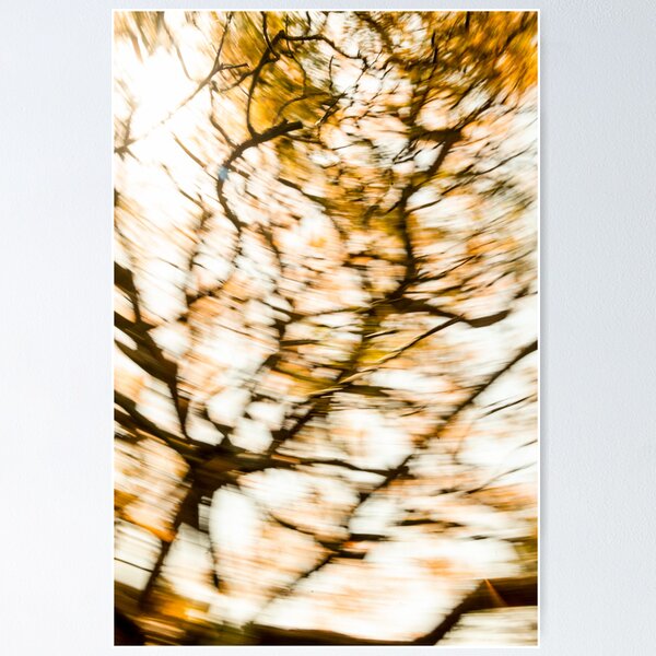 Spooky tree Poster
