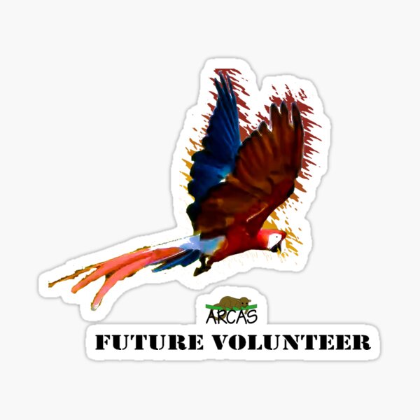 Future volunteer: macaw Sticker