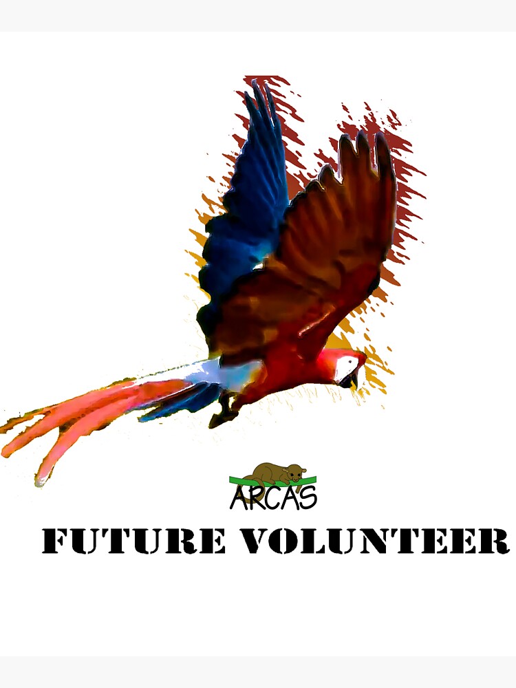 Future volunteer: macaw by ARCASrescate