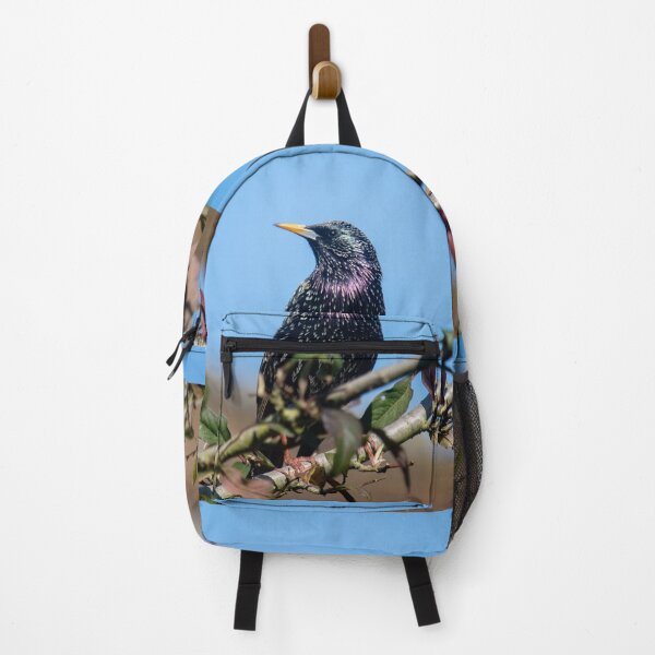 Item preview, Shiny Starling in Blue Sky designed and sold by katemargoli.