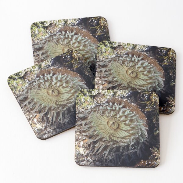 Item preview, Hungry Sea Anemone  designed and sold by heatherfriedman.