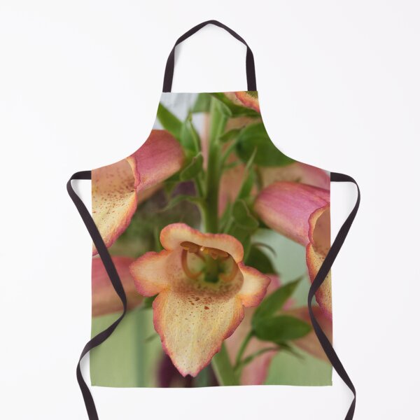 Item preview, Digitalis x valinii Illumination Pink = 'Tmdgfp001' Foxglove Illumination Series designed and sold by Chris Burrows.