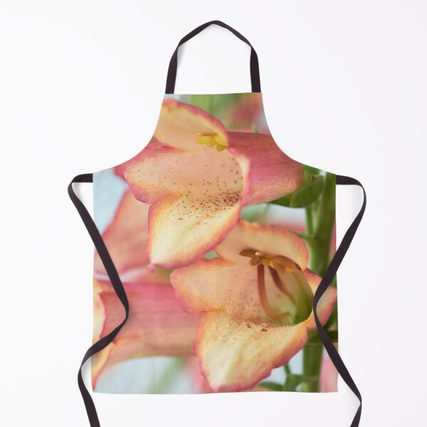 Item preview, Digitalis x valinii Illumination Pink = 'Tmdgfp001' Foxglove Illumination Series designed and sold by Chris Burrows.
