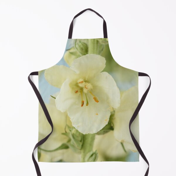 Item preview, Verbascum x hybridum 'Snow Maiden' Mullein designed and sold by Chris Burrows.