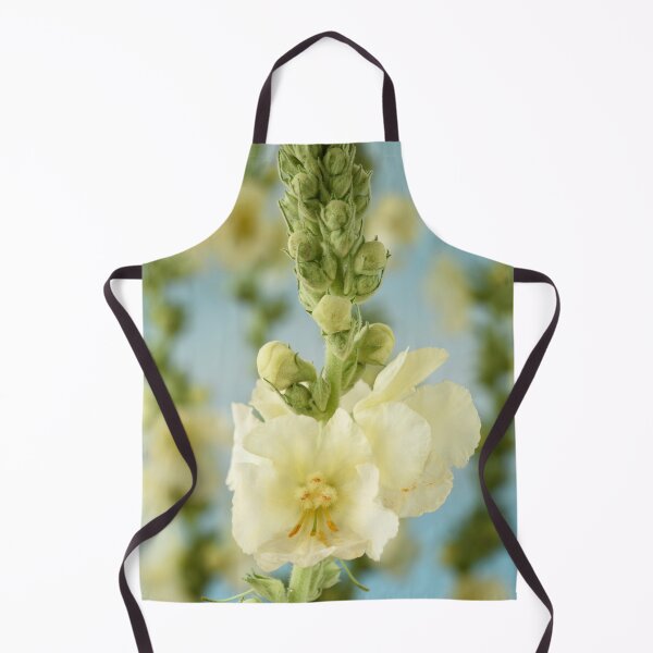 Item preview, Verbascum x hybridum 'Snow Maiden' Mullein designed and sold by Chris Burrows.