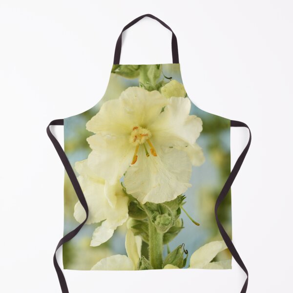 Item preview, Verbascum x hybridum 'Snow Maiden' Mullein designed and sold by Chris Burrows.
