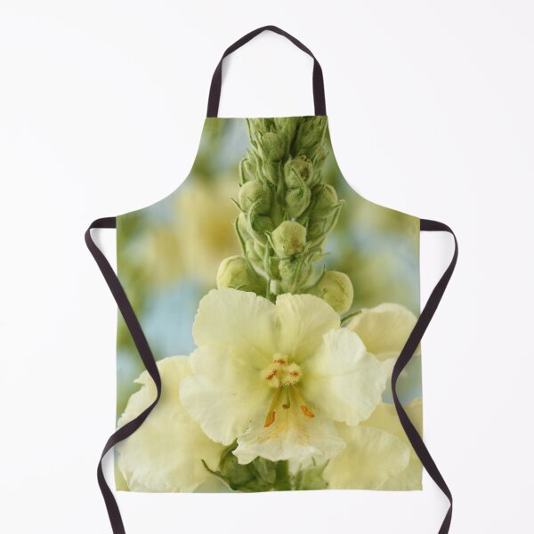 Item preview, Verbascum x hybridum 'Snow Maiden' Mullein designed and sold by Chris Burrows.