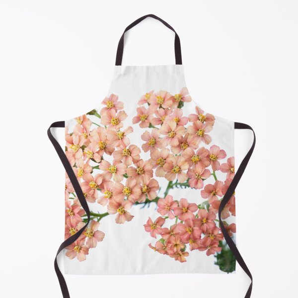 Item preview, Achillea millefolium 'Salmon Beauty'   designed and sold by Chris Burrows.