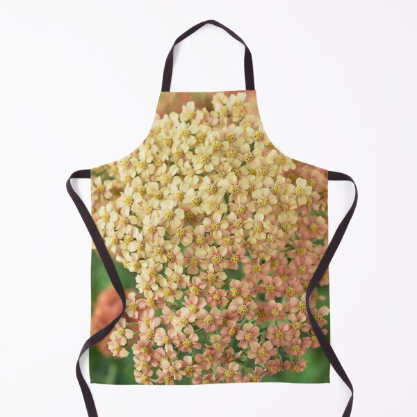 Item preview, Achillea millefolium 'Salmon Beauty'   designed and sold by Chris Burrows.