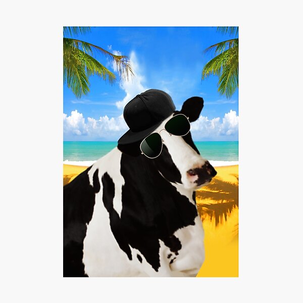 Cool Cow Wall Art Redbubble - stylish cow print shades roblox