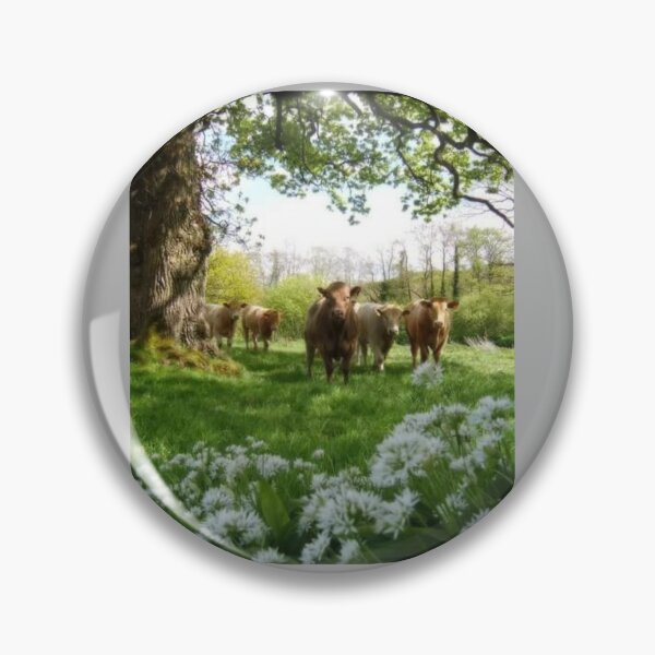 Item preview, Cows in Bandon, Ireland by Abhinav Vats designed and sold by AbhiVats.