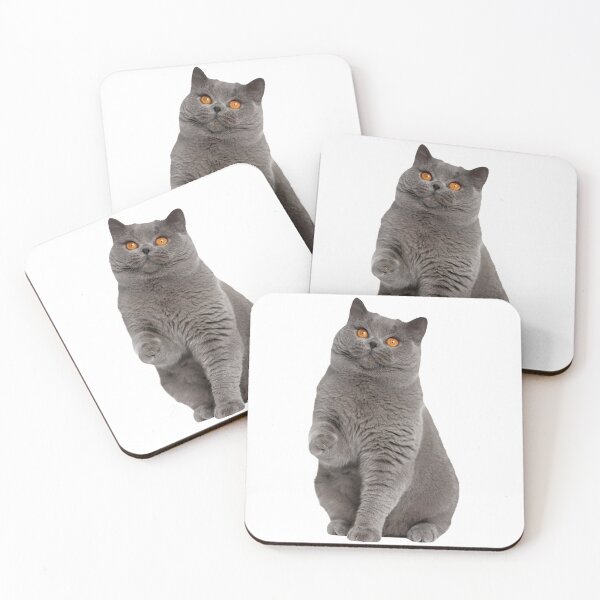 Item preview, A beatiful British Cat  designed and sold by MaayanCo.